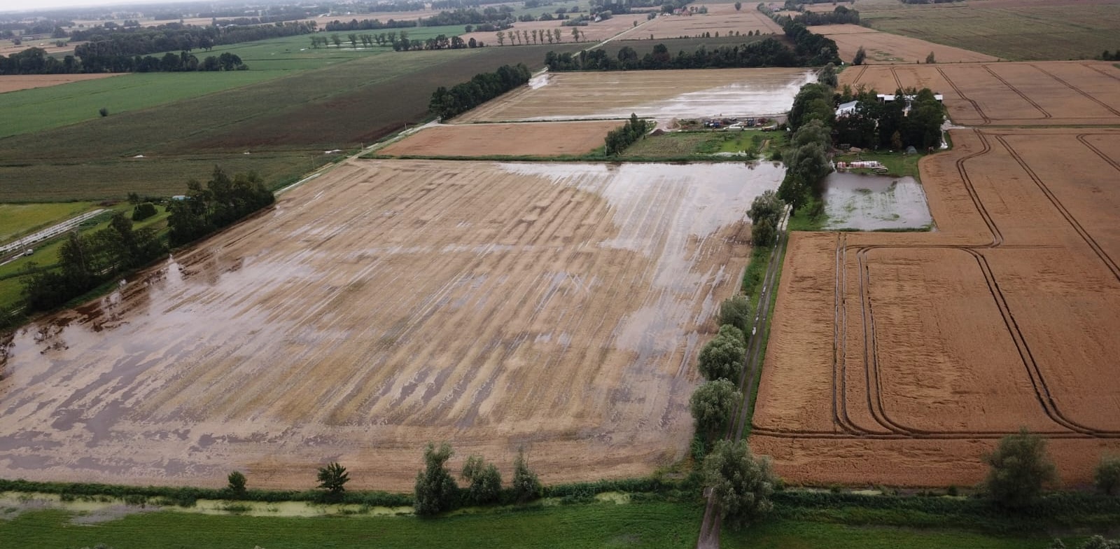 Żuławy zalane przez wodę podczas lipcowych ulew (fot. słuchacz RG)