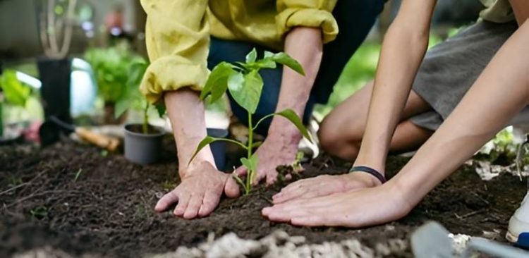 Zajęcia z ekologii w słupskich szkołach z unijnym dofinansowaniem. Miasto pozyskało ponad cztery miliony złotych (fot. Radio Gdańsk/Łukasz Kosik)