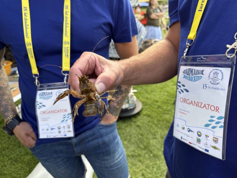Jarmark Rybacki w Chmielnie, 16.08.2025 r. (fot. Radio Gdańsk/Robert Groth)
