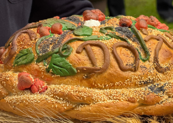 Rolnicy ze Smołdzina jako pierwsi w powiecie słupskim rozpoczęli wielkie dożynkowe świętowanie (fot. Radio Gdańsk/ Łukasz Kosik)