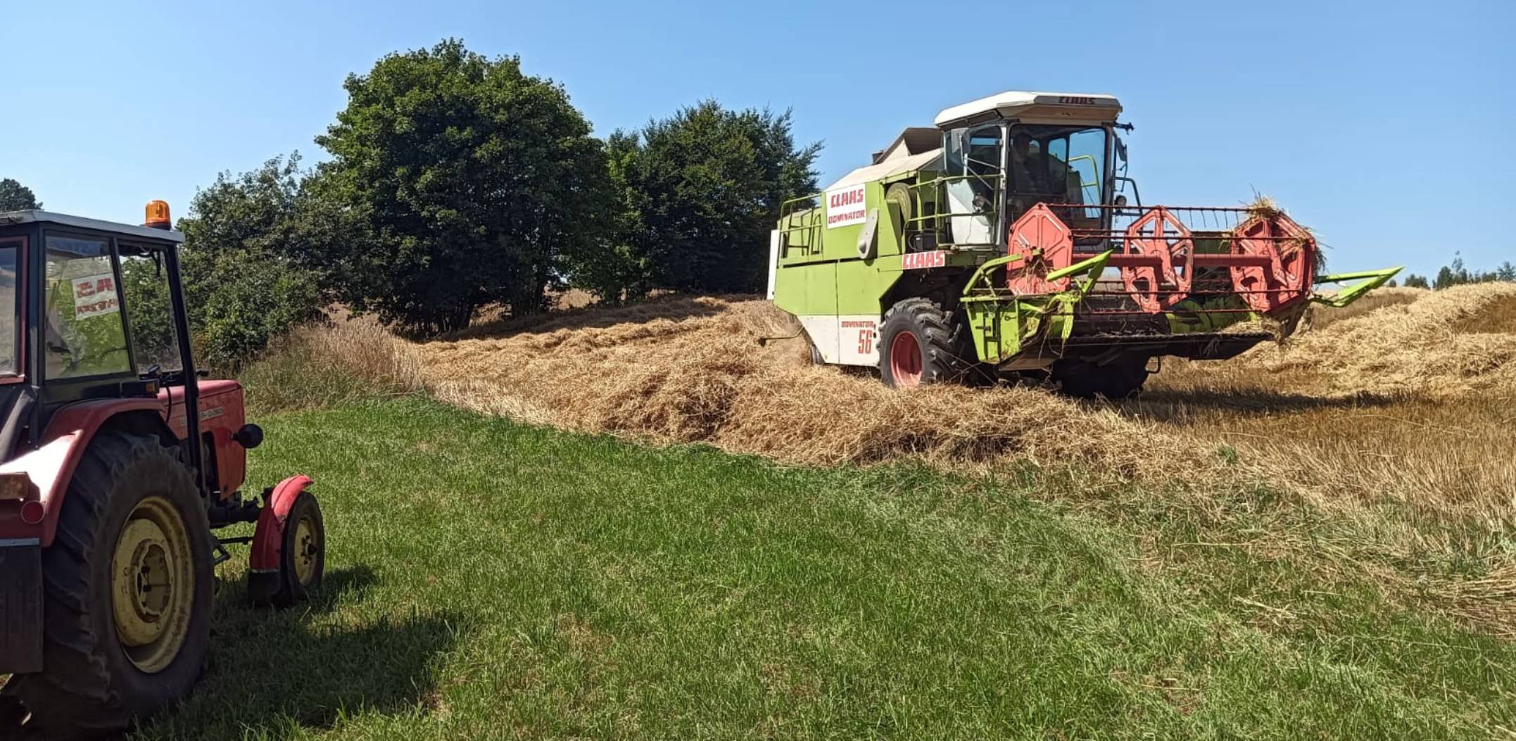 Żniwa na Kaszubach (fot. Radio Gdańsk/Gracjana Pòtrëkùs)