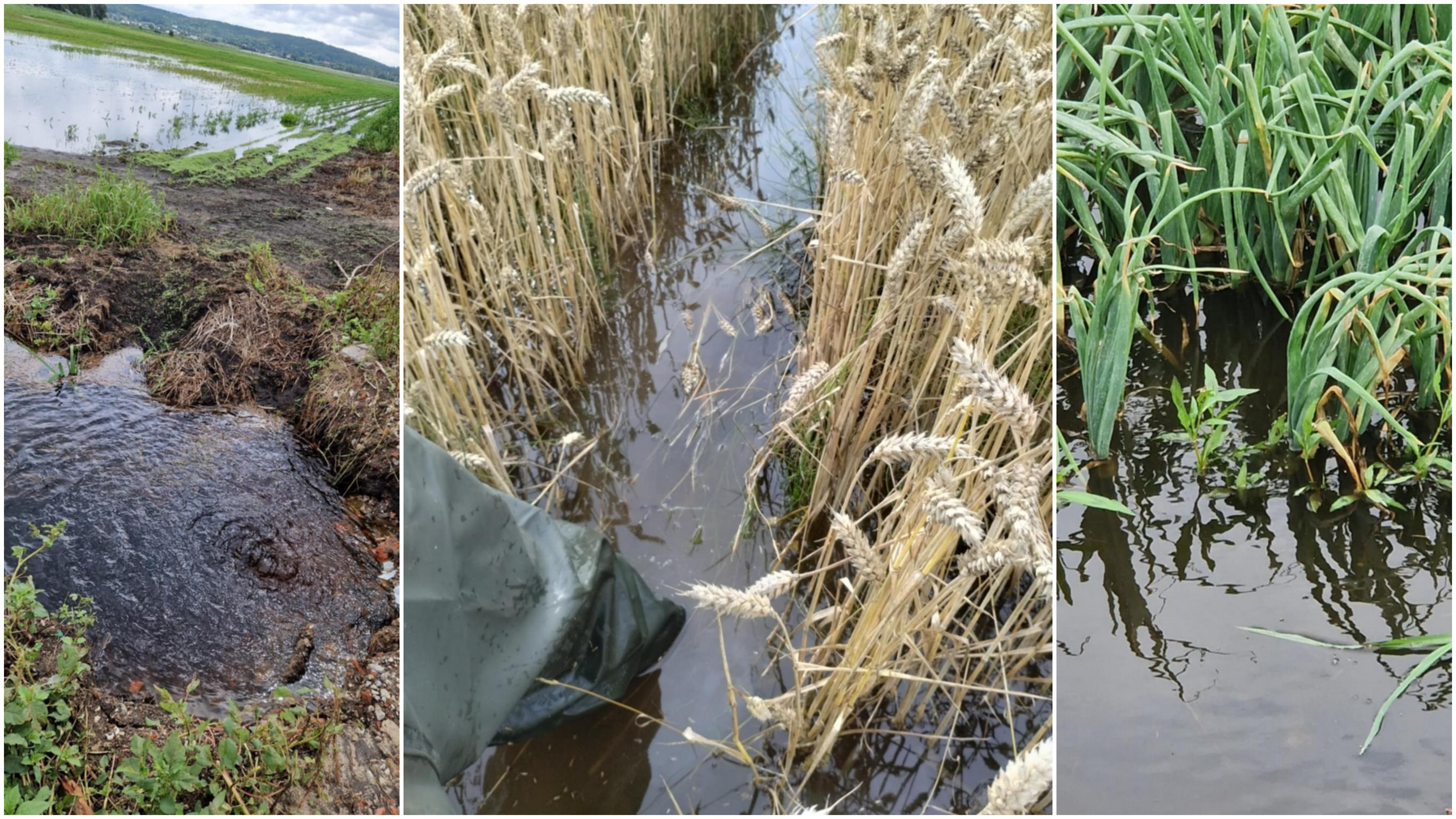 (fot. Radio Gdańsk/Mateusz Czerwiński)