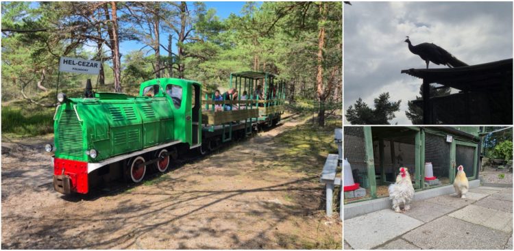 (fot. Radio Gdańsk/Mateusz Czerwiński)