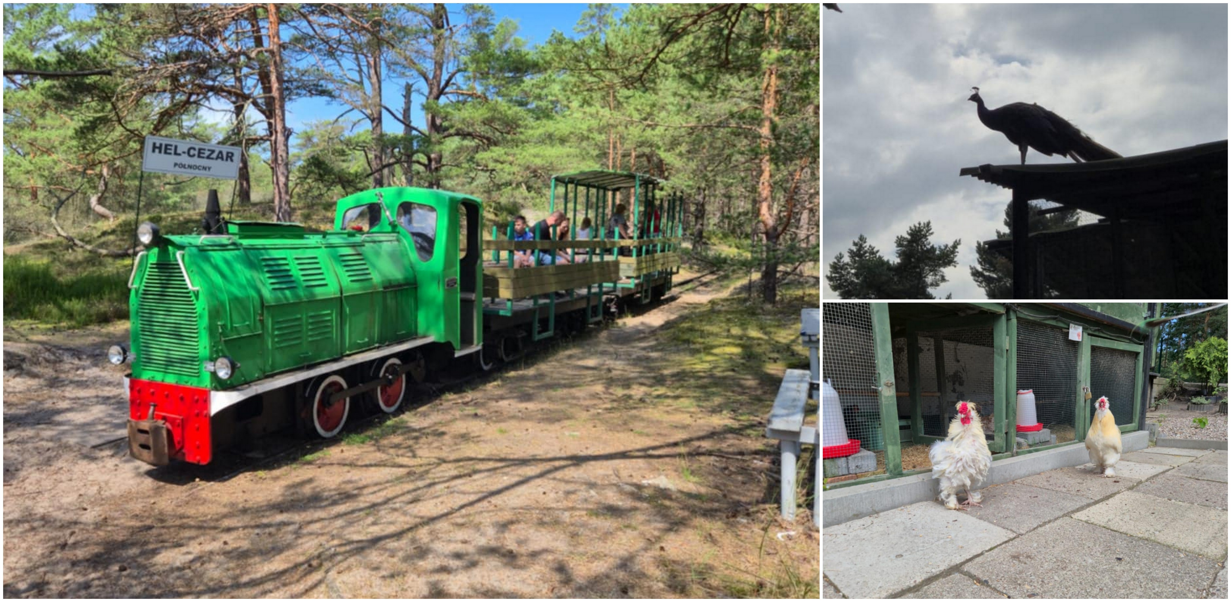 (fot. Radio Gdańsk/Mateusz Czerwiński)