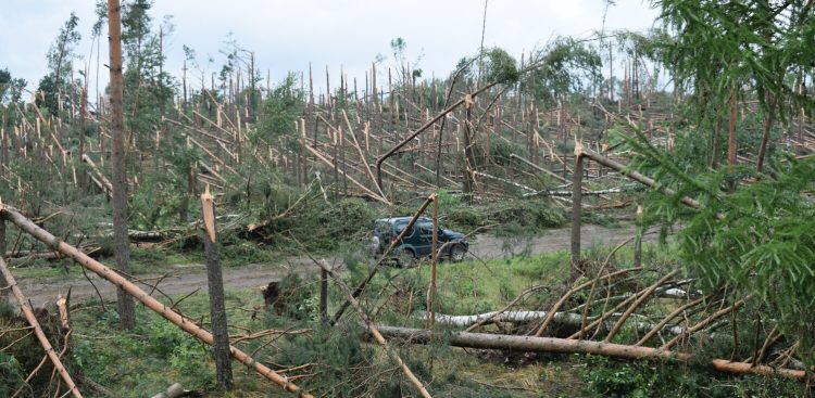 Skutki nawałnicy na Kaszubach, zdjęcie archiwalne (fot. Radio Gdańsk/Grzegorz Armatowski)