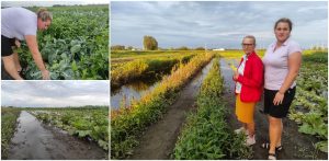 Sylwia Mikołajczyk oraz Zofia Zienkiewicz straciły owoce swojej pracy (fot. Radio Gdańsk/Mateusz Czerwiński)