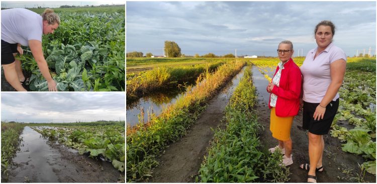 Sylwia Mikołajczyk oraz Zofia Zienkiewicz straciły owoce swojej pracy (fot. Radio Gdańsk/Mateusz Czerwiński)