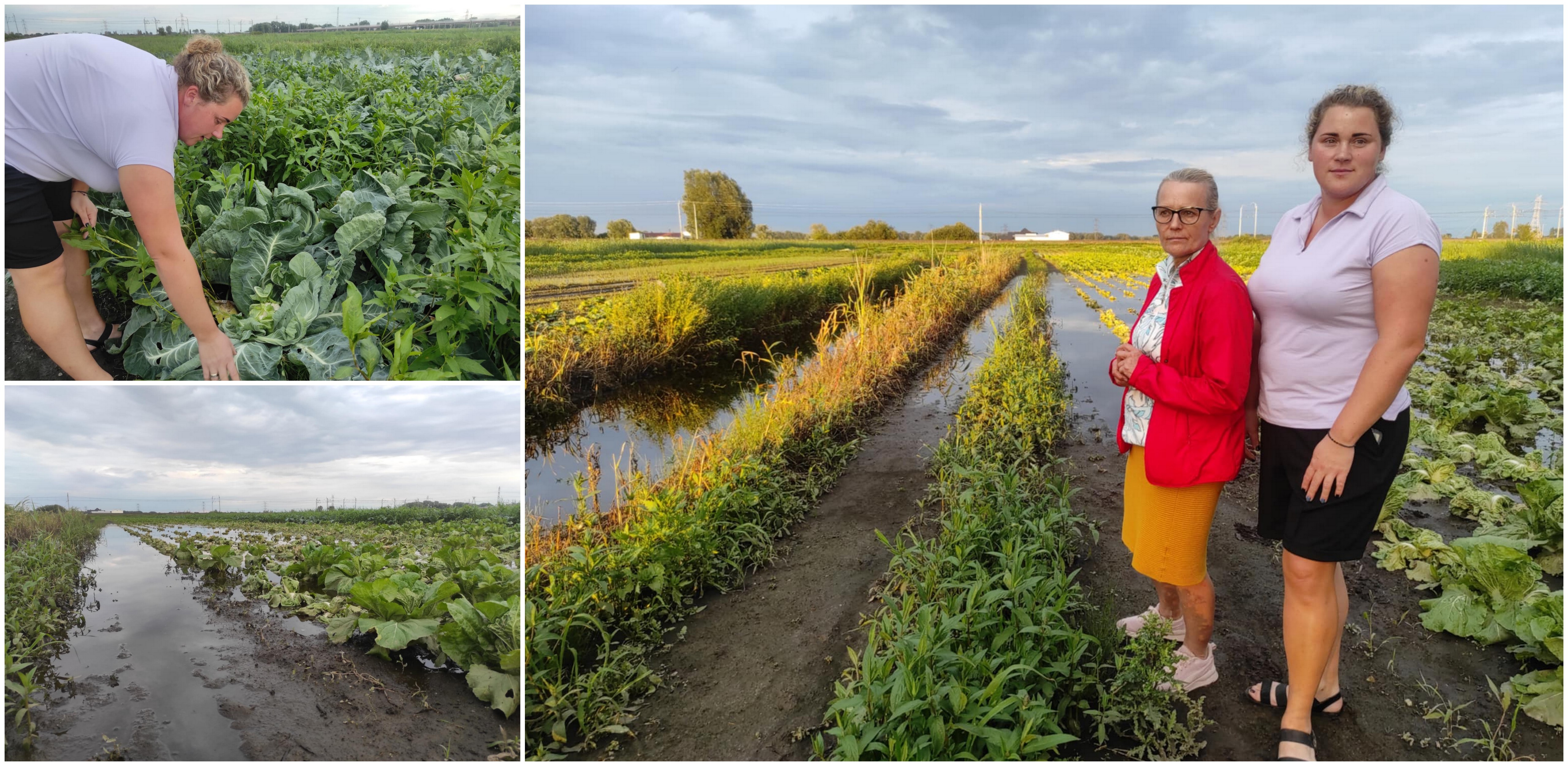 Sylwia Mikołajczyk oraz Zofia Zienkiewicz straciły owoce swojej pracy (fot. Radio Gdańsk/Mateusz Czerwiński)