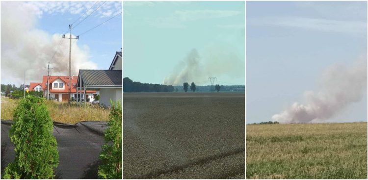 Pożar trzech hektarów pola w okolicach Siemianic (fot. mieszkaniec Siemianic)