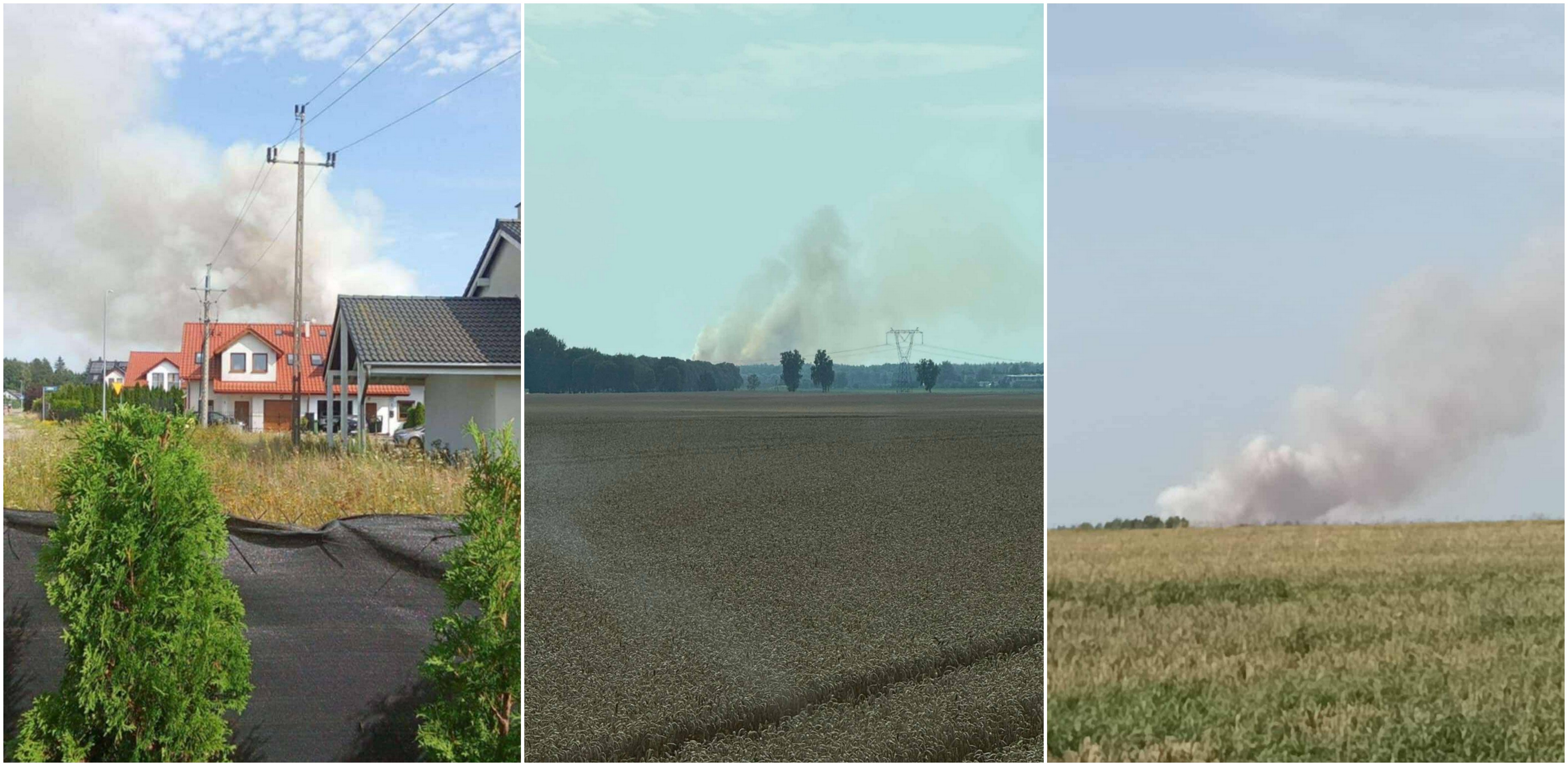 Pożar trzech hektarów pola w okolicach Siemianic (fot. mieszkaniec Siemianic)