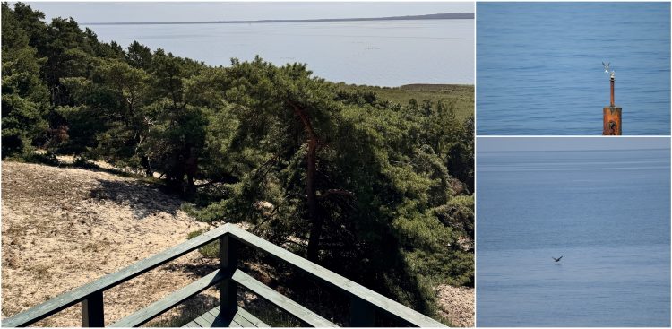 (fot. Wojewódzki Fundusz Ochrony Środowiska i Gospodarki Wodnej w Gdańsku)