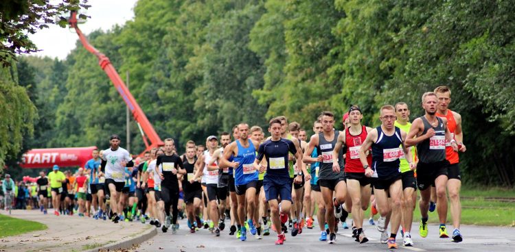 (fot. Agata Masiulaniec / KFP)