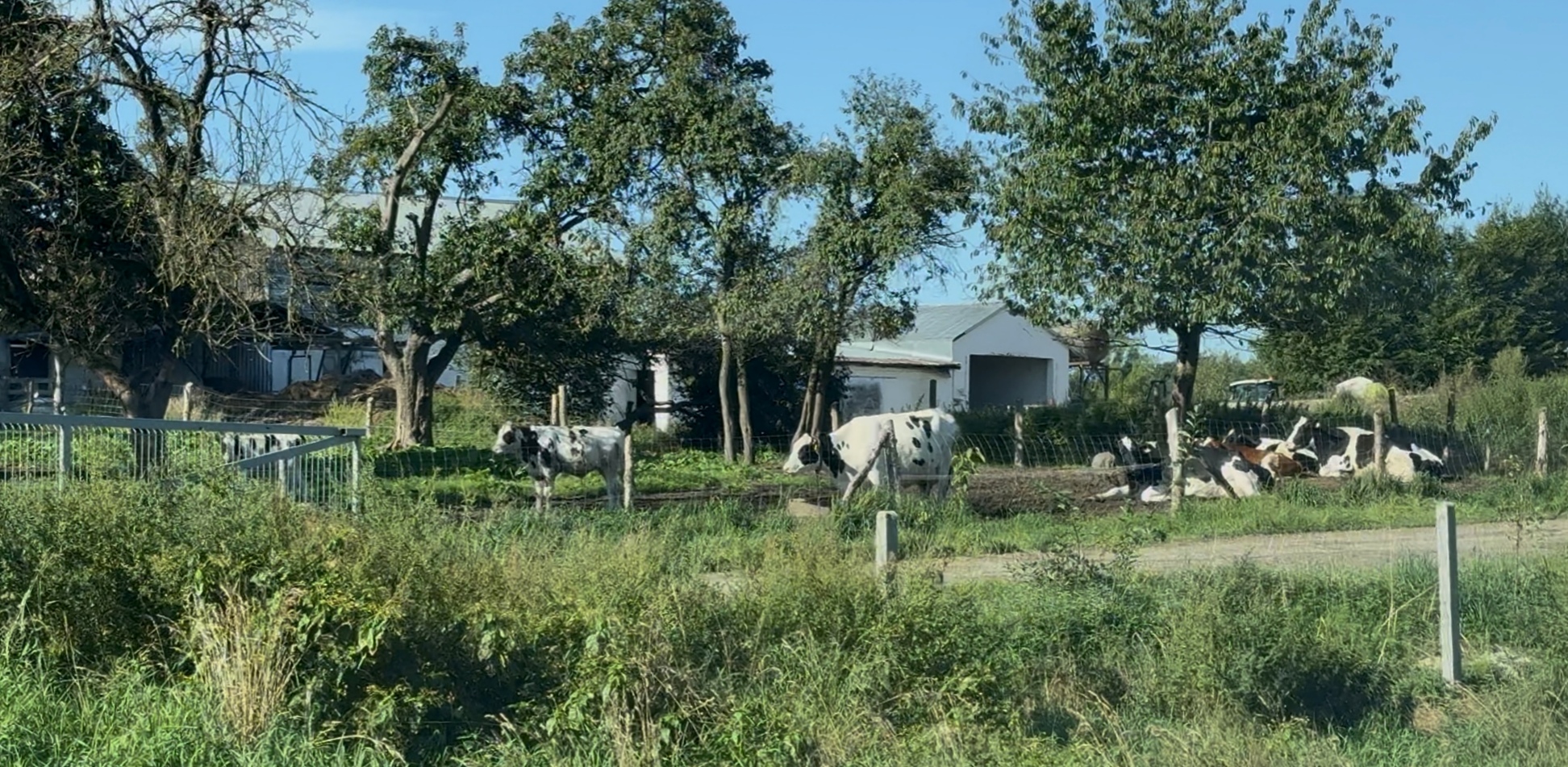 Gospodarstwo jednego z naszych rozmówców (fot. Radio Gdańsk/Łukasz Kosik)