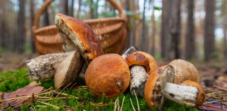 Zdjęcie ilustracyjne (fot. Freepik)