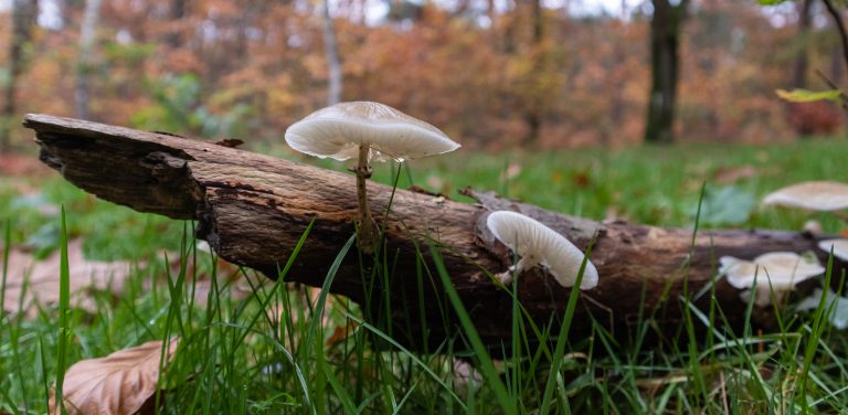 Zdjęcie ilustracyjne (fot. Freepik)