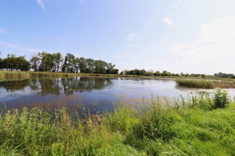 ( fot. facebook.com/Burmistrz Miasta i Gminy Nowy Staw Jerzy Szałach)