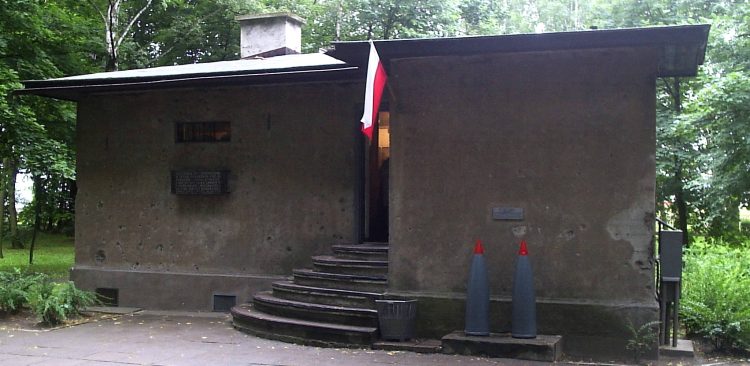 (fot. Wikimedia Commons)