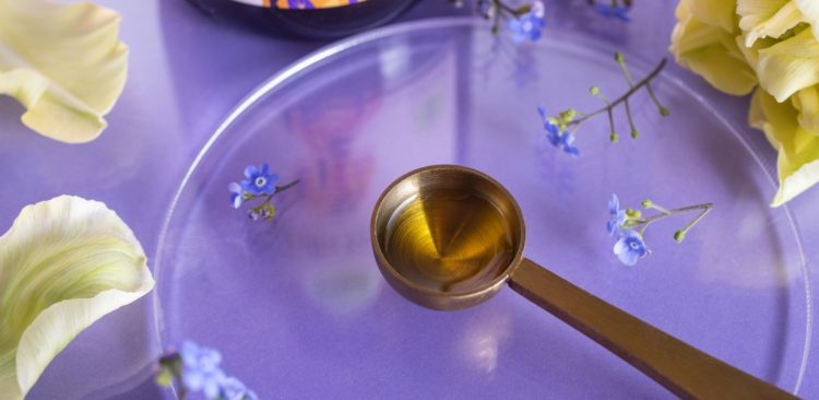 (fot. mat. sponsorowane)