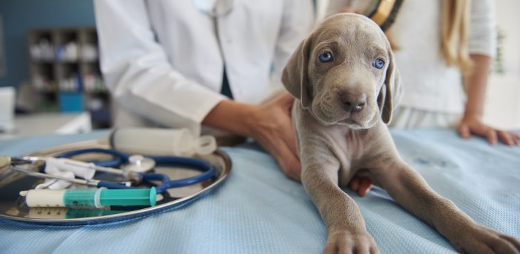 Zdjęcie ilustracyjne (Fot. Freepik)