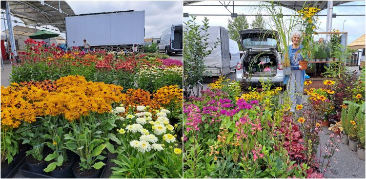 (fot. Radio Gdańsk/Sebastian Kwiatkowski)