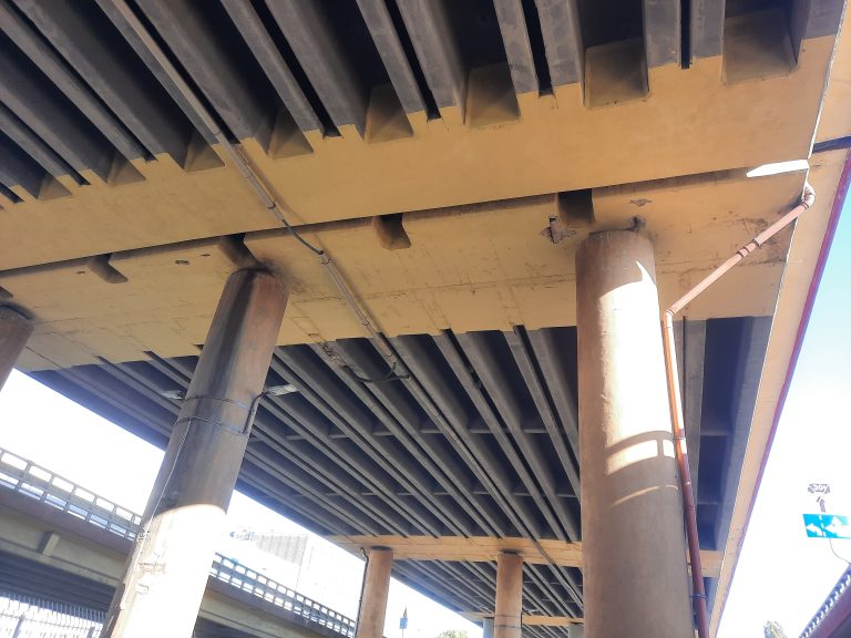 (Fot. Radio Gdańsk/Marcin Lange)