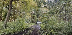 (fot. Facebook/Ratujmy Helski Cypel)