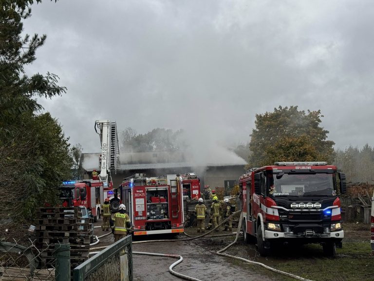(fot. Robert Krużyński vel Kruszewski - Radny Gminy Pruszcz Gdański )