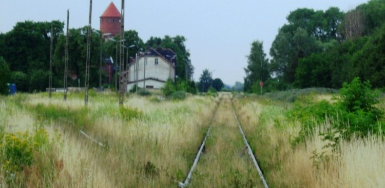 (fot. Wikimedia Commons)