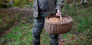 (fot. Anna Rezulak / KFP)