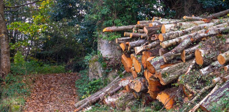 Zdjęcie ilustracyjne (fot. Freepik)