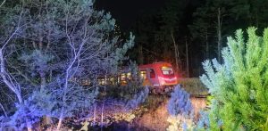 (fot. Facebook/Ochotnicza Straż Pożarna w Czarnem)