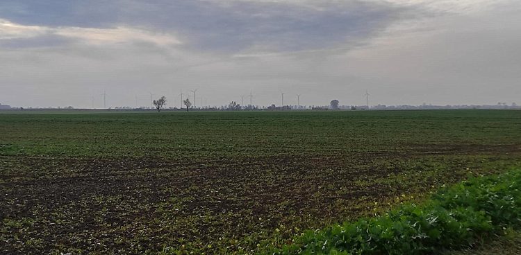 (fot. Radio Gdańsk/Mateusz Czerwiński)