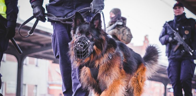 (fot. Facebook/Wojska Obrony Terytorialnej)