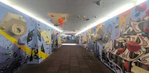 (fot. arch. prywatne Marcina Makowskiego)