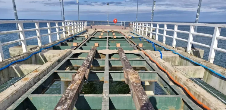 (fot. Gdański Ośrodek Sportu)