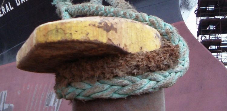 (Fot. wikimedia commons)