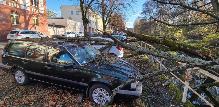 (fot. Radio Gdańsk/Przemysław Woś)