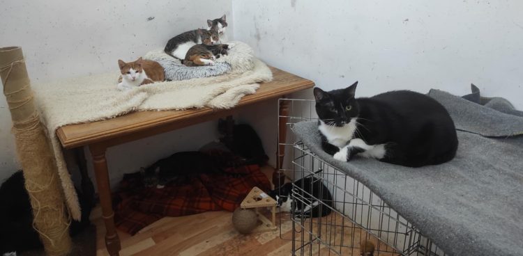 (Fot. Radio Gdańsk/Mateusz Czerwiński)