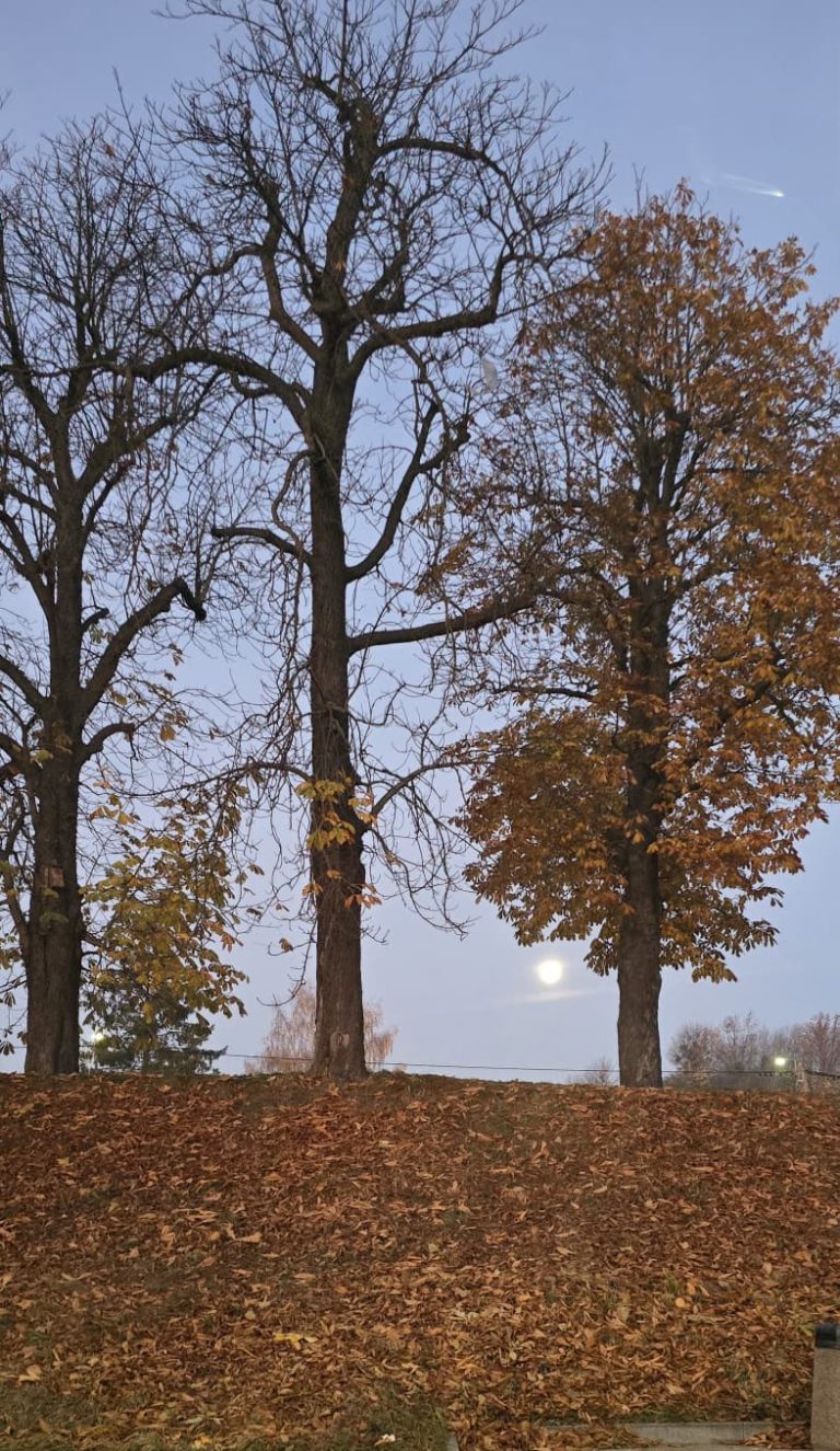 (Fot. słuchacz Radia Gdańsk)