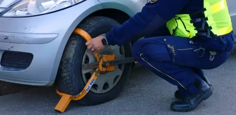 Zdjęcie ilustracyjne (fot. Straż Miejska w Gdańsku)