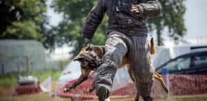 (Fot. Facebook/Mariusz Lis K9 Academy)