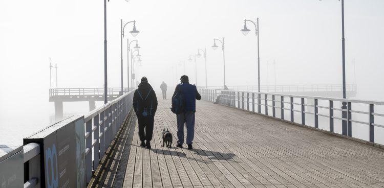 (fot. Anna Bobrowska / KFP)