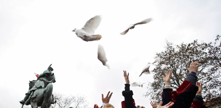 (fot. Krzysztof Mystkowski / KFP)