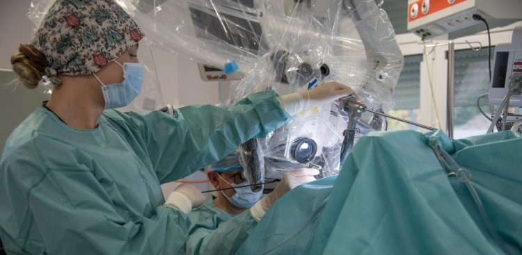 (Fot. WSzS/Paulina Kawalec)