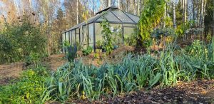 (fot. Katarzyna Bellingham)