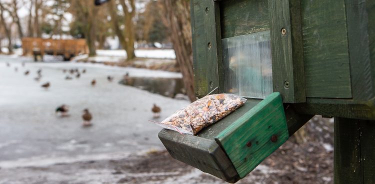 Zdjęcie ilustracyjne (fot. Anna Rezulak / KFP)