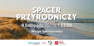 (graf. Radio Gdańsk)