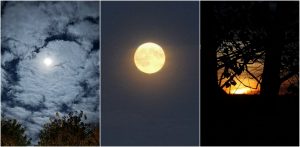 (Fot. słuchacze Radia Gdańsk)