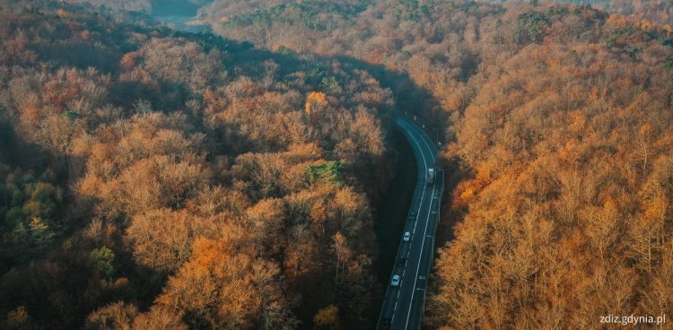 Ulica Kielecka w Gdyni (fot. ZDiZ Gdynia/Marcin Mielewski)