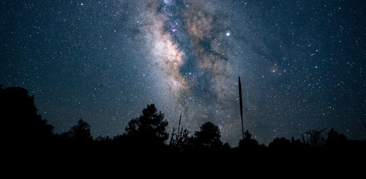 Zdjęcie ilustracyjne (fot. Freepik)